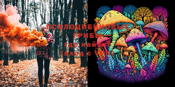 молекула духа Заволжск