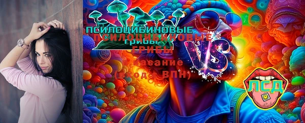 молекула духа Заволжск
