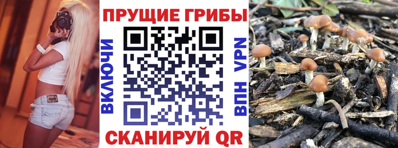 Псилоцибиновые грибы GOLDEN TEACHER  Тольятти 