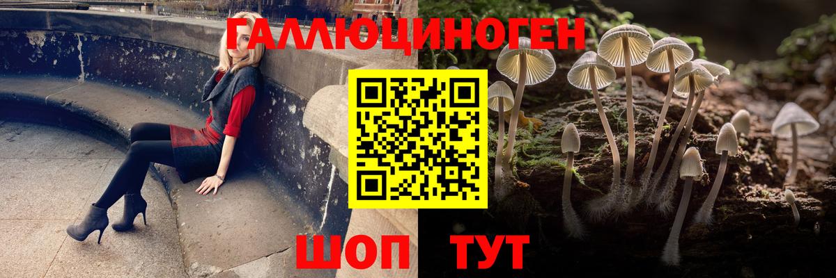 Тольятти  Псилоцибиновые грибы прущие грибы  Вход с VPN 
