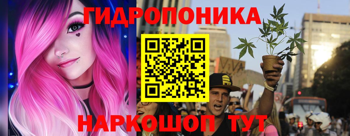 МАРИХУАНА Bruce Banner  Канабис ГИДРОПОН  Вход с VPN  Тольятти  Шишки марихуана OG Kush 